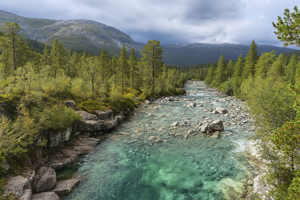 Natur på Mjølfjell